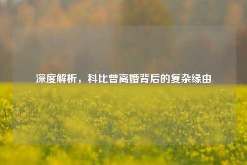 深度解析，科比曾离婚背后的复杂缘由