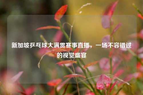 新加坡乒乓球大满贯赛事直播，一场不容错过的视觉盛宴