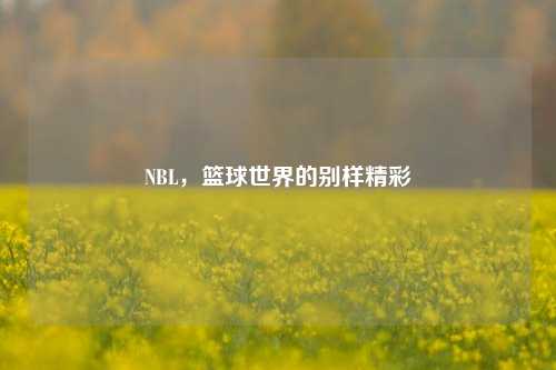 NBL，篮球世界的别样精彩