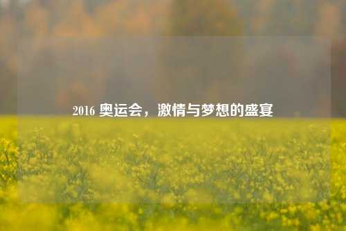 2016 奥运会，激情与梦想的盛宴