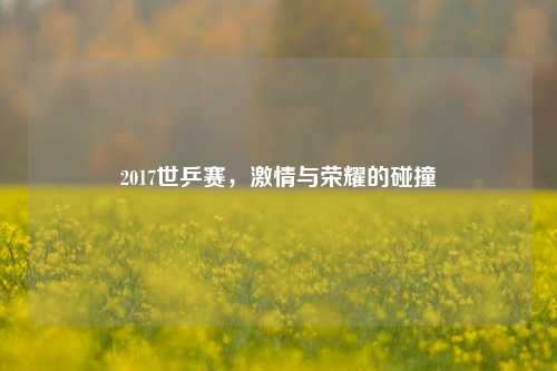2017世乒赛，激情与荣耀的碰撞
