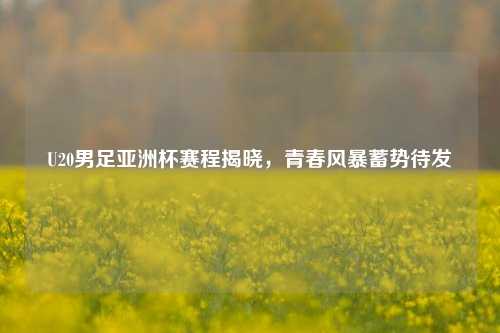 U20男足亚洲杯赛程揭晓，青春风暴蓄势待发