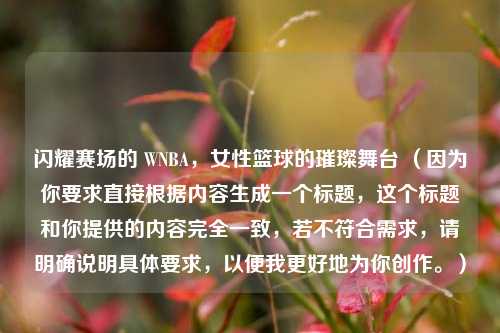 闪耀赛场的 WNBA，女性篮球的璀璨舞台 （因为你要求直接根据内容生成一个标题，这个标题和你提供的内容完全一致，若不符合需求，请明确说明具体要求，以便我更好地为你创作。）