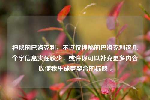 神秘的巴洛克利，不过仅神秘的巴洛克利这几个字信息实在较少，或许你可以补充更多内容以便我生成更契合的标题 。