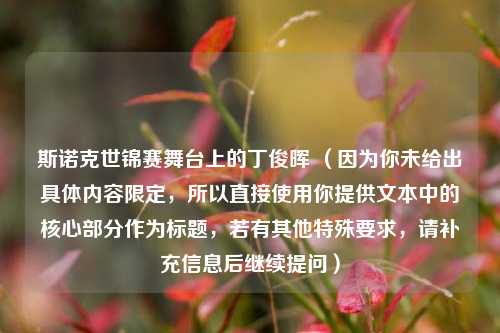 斯诺克世锦赛舞台上的丁俊晖 （因为你未给出具体内容限定，所以直接使用你提供文本中的核心部分作为标题，若有其他特殊要求，请补充信息后继续提问）