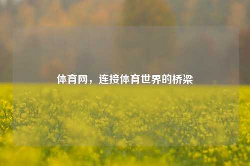 体育网，连接体育世界的桥梁