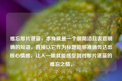 难忘那片湛蓝，本身就是一个很简洁且表意明确的短语，直接以它作为标题能够准确传达出核心情感，让人一眼就能感受到对那片湛蓝的难忘之情。