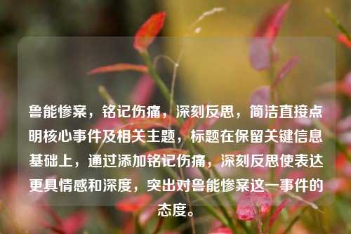 鲁能惨案，铭记伤痛，深刻反思，简洁直接点明核心事件及相关主题，标题在保留关键信息基础上，通过添加铭记伤痛，深刻反思使表达更具情感和深度，突出对鲁能惨案这一事件的态度。