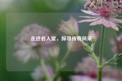 走进名人堂，探寻传奇风采