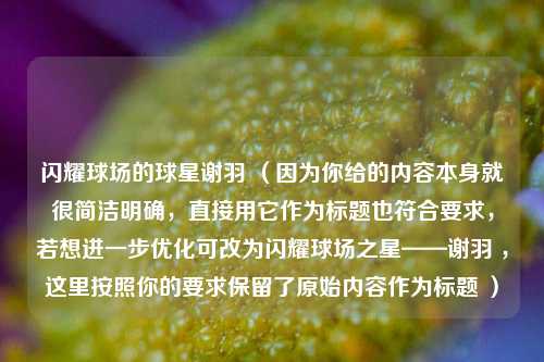 闪耀球场的球星谢羽 (因为你给的内容本身就很简洁明确,直接用它作为标题也符合要求,若想进一步优化可改为闪耀球场之星——谢羽 ,这里按照你的要求保留了原始内容作为标题 )