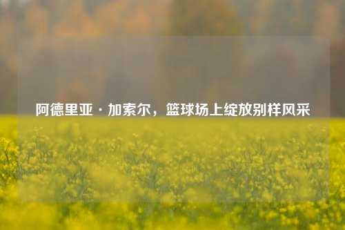阿德里亚·加索尔，篮球场上绽放别样风采