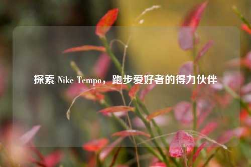 探索 Nike Tempo，跑步爱好者的得力伙伴