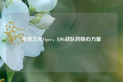 电竞之光Viper，EDG战队的核心力量