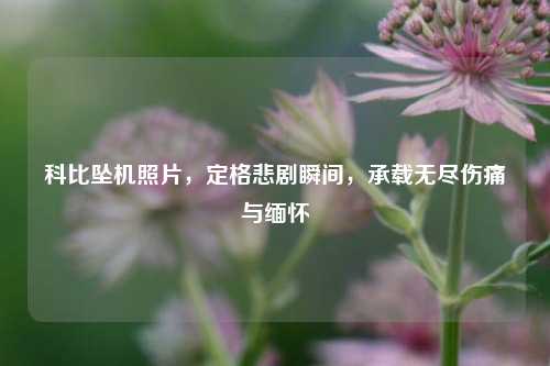 科比坠机照片，定格悲剧瞬间，承载无尽伤痛与缅怀