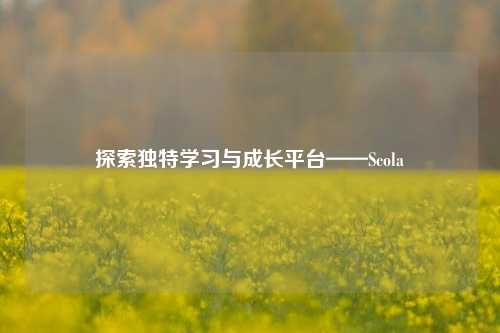 探索独特学习与成长平台——Scola