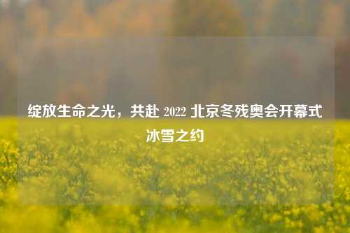 绽放生命之光，共赴 2022 北京冬残奥会开幕式冰雪之约