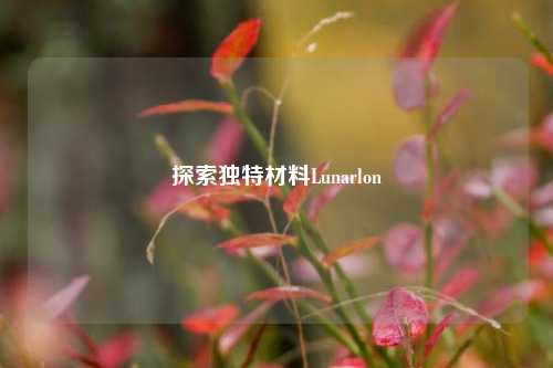 探索独特材料Lunarlon