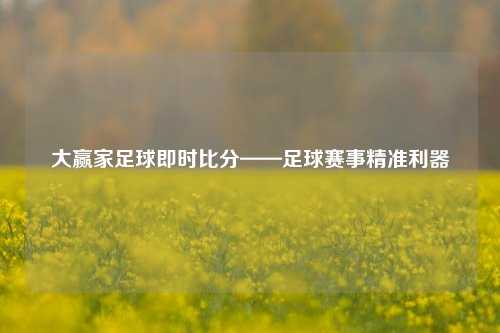 大赢家足球即时比分——足球赛事精准利器