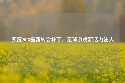 实况2013最新转会补丁，足球游戏新活力注入
