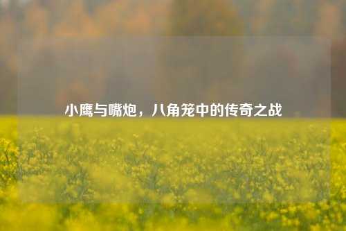 小鹰与嘴炮，八角笼中的传奇之战