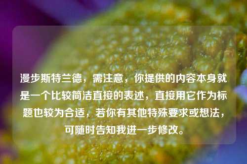 漫步斯特兰德,需注意,你提供的内容本身就是一个比较简洁直接的表述,直接用它作为标题也较为合适,若你有其他特殊要求或想法,可随时告知我进一步修改。