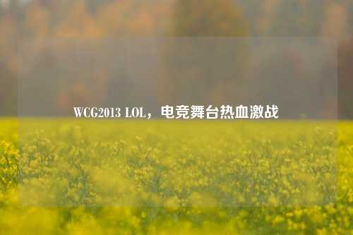 WCG2013 LOL，电竞舞台热血激战