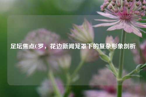 足坛焦点C罗,花边新闻笼罩下的复杂形象剖析