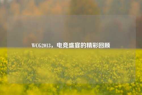 WCG2013，电竞盛宴的精彩回顾