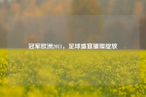 冠军欧洲2011，足球盛宴璀璨绽放