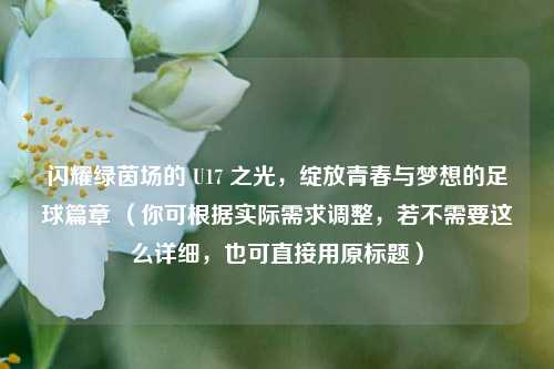 闪耀绿茵场的 U17 之光，绽放青春与梦想的足球篇章 （你可根据实际需求调整，若不需要这么详细，也可直接用原标题）