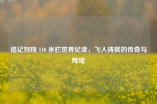 铭记刘翔 110 米栏世界纪录，飞人铸就的传奇与辉煌