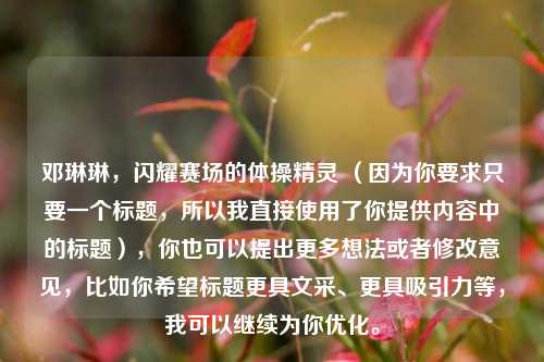 邓琳琳，闪耀赛场的体操精灵 （因为你要求只要一个标题，所以我直接使用了你提供内容中的标题），你也可以提出更多想法或者修改意见，比如你希望标题更具文采、更具吸引力等，我可以继续为你优化。