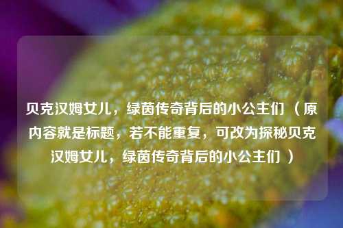 贝克汉姆女儿，绿茵传奇背后的小公主们 （原内容就是标题，若不能重复，可改为探秘贝克汉姆女儿，绿茵传奇背后的小公主们 ）