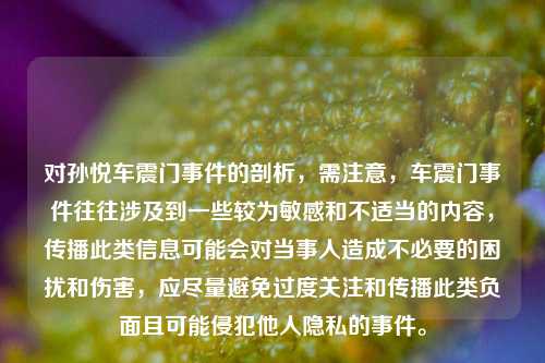 对孙悦车震门事件的剖析，需注意，车震门事件往往涉及到一些较为敏感和不适当的内容，传播此类信息可能会对当事人造成不必要的困扰和伤害，应尽量避免过度关注和传播此类负面且可能侵犯他人隐私的事件。