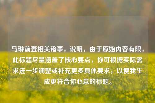 马琳前妻相关诸事，说明，由于原始内容有限，此标题尽量涵盖了核心要点，你可根据实际需求进一步调整或补充更多具体要求，以便我生成更符合你心意的标题。