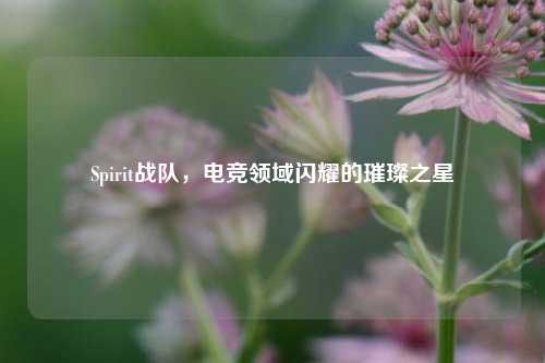Spirit战队，电竞领域闪耀的璀璨之星