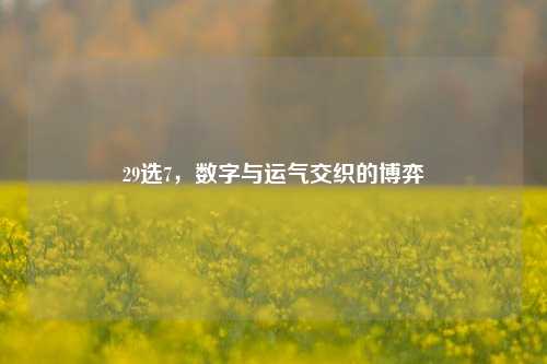 29选7，数字与运气交织的博弈