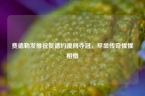 费德勒发推祝贺德约澳网夺冠,尽显传奇惺惺相惜