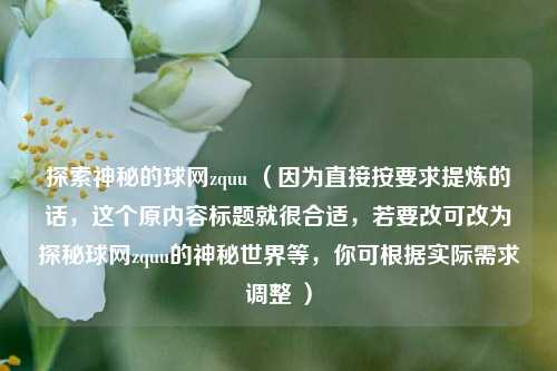 探索神秘的球网zquu （因为直接按要求提炼的话，这个原内容标题就很合适，若要改可改为探秘球网zquu的神秘世界等，你可根据实际需求调整 ）