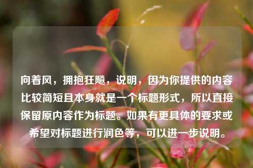 向着风，拥抱狂飚，说明，因为你提供的内容比较简短且本身就是一个标题形式，所以直接保留原内容作为标题。如果有更具体的要求或希望对标题进行润色等，可以进一步说明。