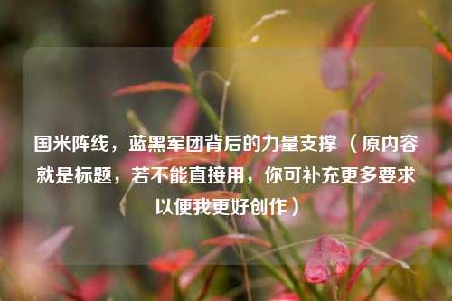 国米阵线，蓝黑军团背后的力量支撑 （原内容就是标题，若不能直接用，你可补充更多要求以便我更好创作）
