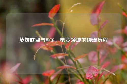 英雄联盟与WCG，电竞领域的璀璨历程