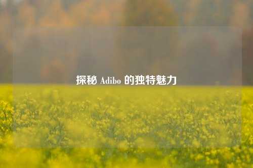 探秘 Adibo 的独特魅力
