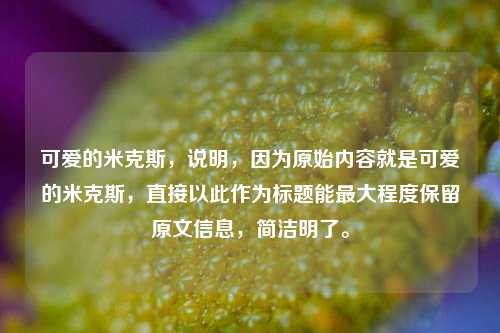 可爱的米克斯，说明，因为原始内容就是可爱的米克斯，直接以此作为标题能最大程度保留原文信息，简洁明了。