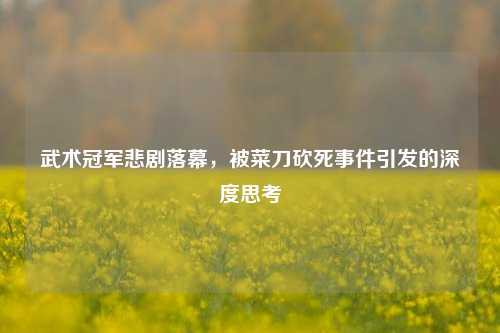 武术冠军悲剧落幕，被菜刀砍死事件引发的深度思考