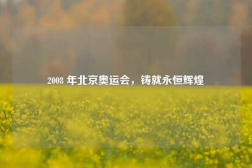 2008 年北京奥运会，铸就永恒辉煌