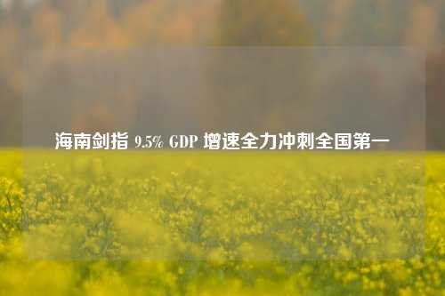 海南剑指 9.5% GDP 增速全力冲刺全国第一