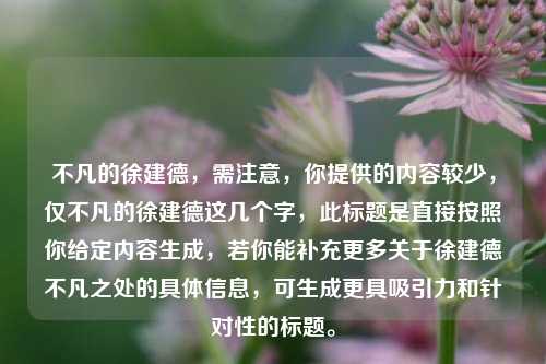 不凡的徐建德，需注意，你提供的内容较少，仅不凡的徐建德这几个字，此标题是直接按照你给定内容生成，若你能补充更多关于徐建德不凡之处的具体信息，可生成更具吸引力和针对性的标题。