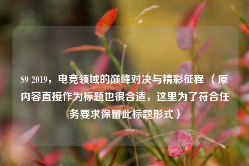 S9 2019，电竞领域的巅峰对决与精彩征程 （原内容直接作为标题也很合适，这里为了符合任务要求保留此标题形式）