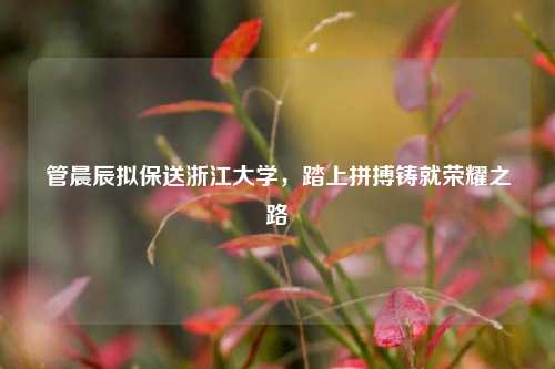 管晨辰拟保送浙江大学，踏上拼搏铸就荣耀之路